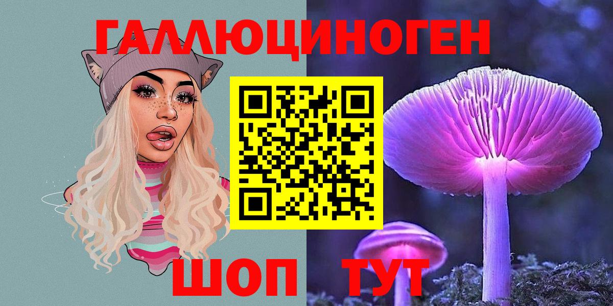 Псилоцибиновые грибы Psilocybine cubensis  Вход с VPN  Владимир 